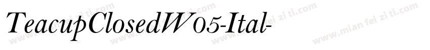 TeacupClosedW05-Ital字体转换