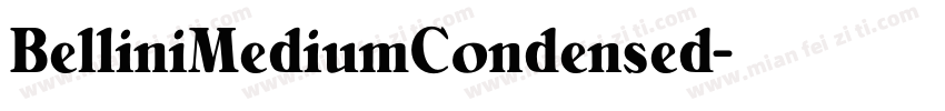 BelliniMediumCondensed字体转换