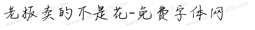 老板卖的不是花字体转换