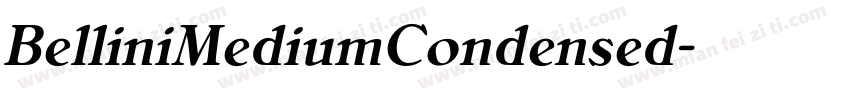 BelliniMediumCondensed字体转换