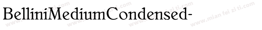 BelliniMediumCondensed字体转换