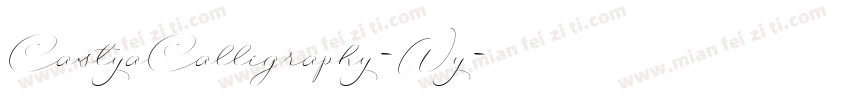 CastyaCalligraphy-Wy字体转换