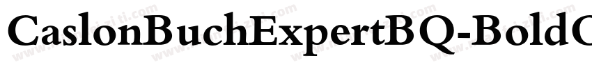 CaslonBuchExpertBQ-BoldOsF字体转换