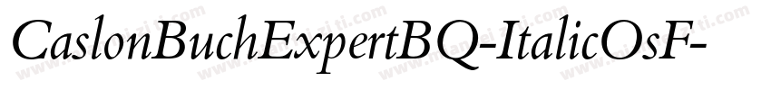 CaslonBuchExpertBQ-ItalicOsF字体转换