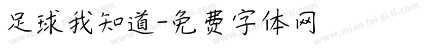 足球我知道字体转换