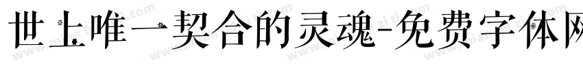世上唯一契合的灵魂字体转换