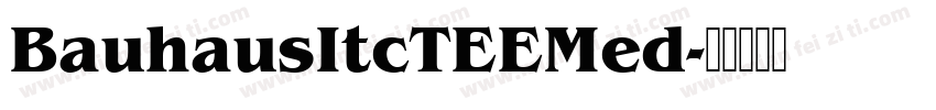 BauhausItcTEEMed字体转换