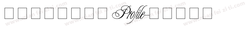 文道精品英文字体Profile字体转换