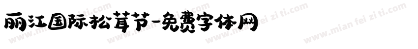 丽江国际松茸节字体转换