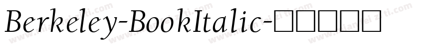 Berkeley-BookItalic字体转换