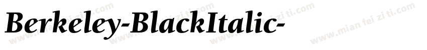 Berkeley-BlackItalic字体转换