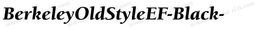 BerkeleyOldStyleEF-Black字体转换