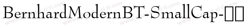 BernhardModernBT-SmallCap字体转换