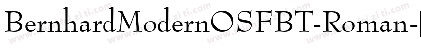 BernhardModernOSFBT-Roman字体转换