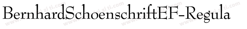 BernhardSchoenschriftEF-Regular字体转换