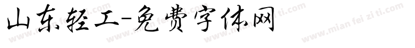 山东轻工字体转换