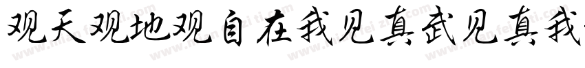 观天观地观自在我见真武见真我字体转换