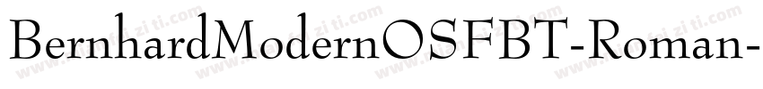 BernhardModernOSFBT-Roman字体转换