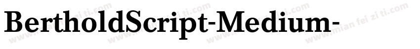 BertholdScript-Medium字体转换