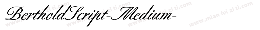 BertholdScript-Medium字体转换