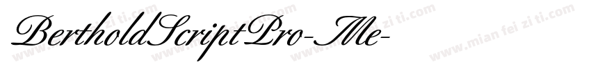 BertholdScriptPro-Me字体转换