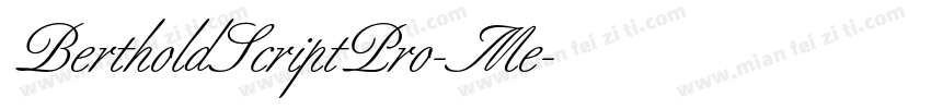 BertholdScriptPro-Me字体转换