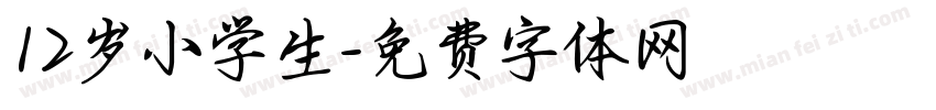 12岁小学生字体转换