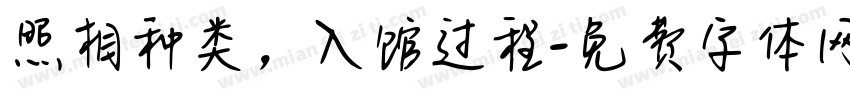 照相种类，入馆过程字体转换