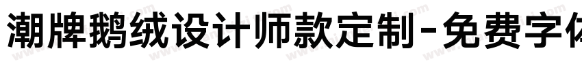潮牌鹅绒设计师款定制字体转换
