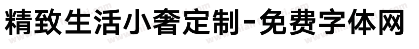 精致生活小奢定制字体转换