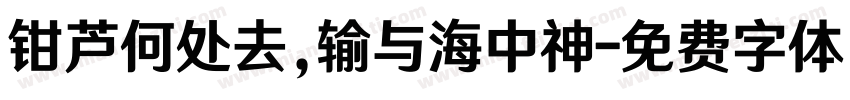 钳芦何处去，输与海中神字体转换
