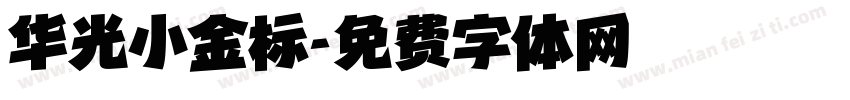 华光小金标字体转换