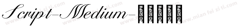 Script-Medium字体转换