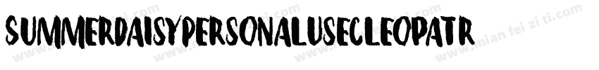 SummerDaisyPersonalUseCleopatra字体转换