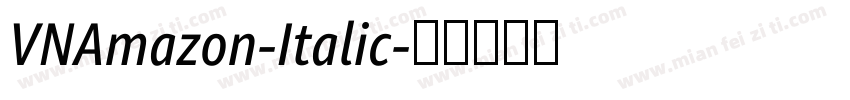 VNAmazon-Italic字体转换