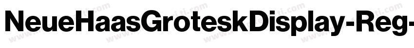 NeueHaasGroteskDisplay-Reg字体转换