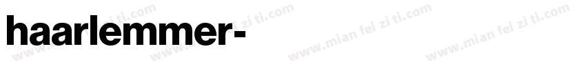 haarlemmer字体转换