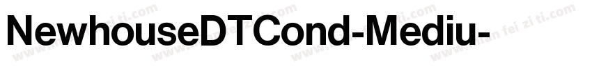 NewhouseDTCond-Mediu字体转换