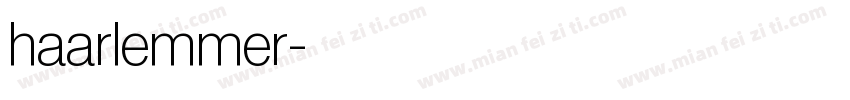 haarlemmer字体转换