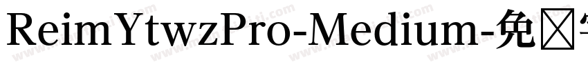 ReimYtwzPro-Medium字体转换