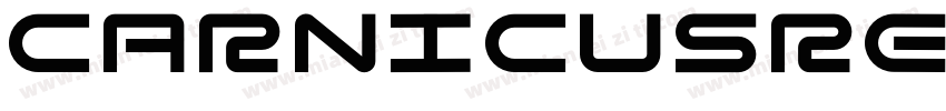 CarnicusRegular字体转换