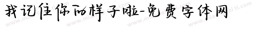 我记住你的样子啦字体转换