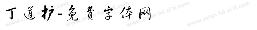丁道护字体转换