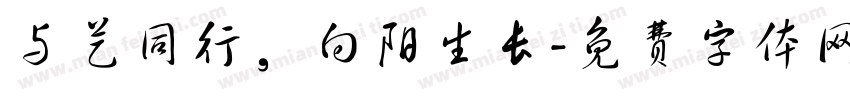 与艺同行，向阳生长字体转换