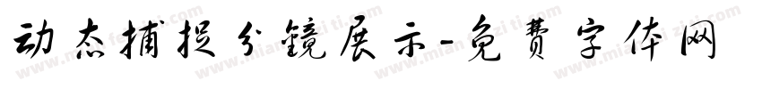 动态捕捉分镜展示字体转换
