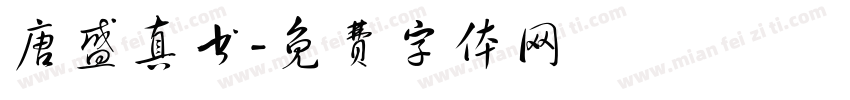 唐盛真书字体转换