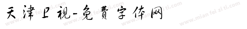 天津卫视字体转换