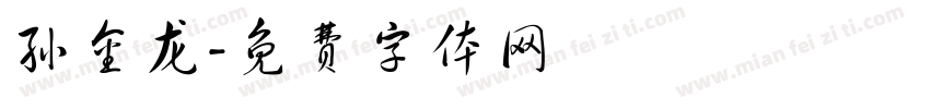 孙金龙字体转换