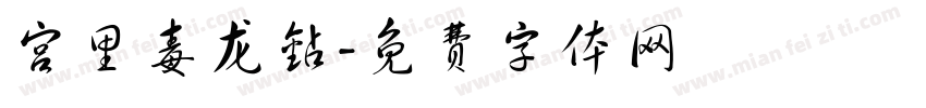 宫里毒龙钻字体转换