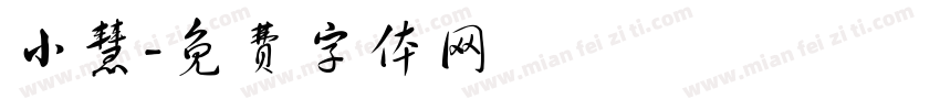 小慧字体转换